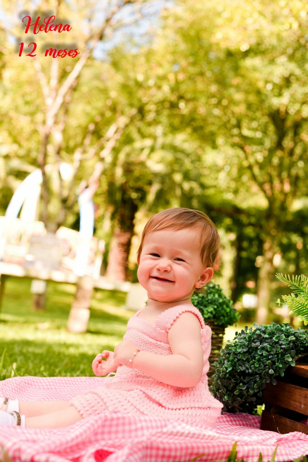 Foto Smash the Cake: Helena - Imagem 1