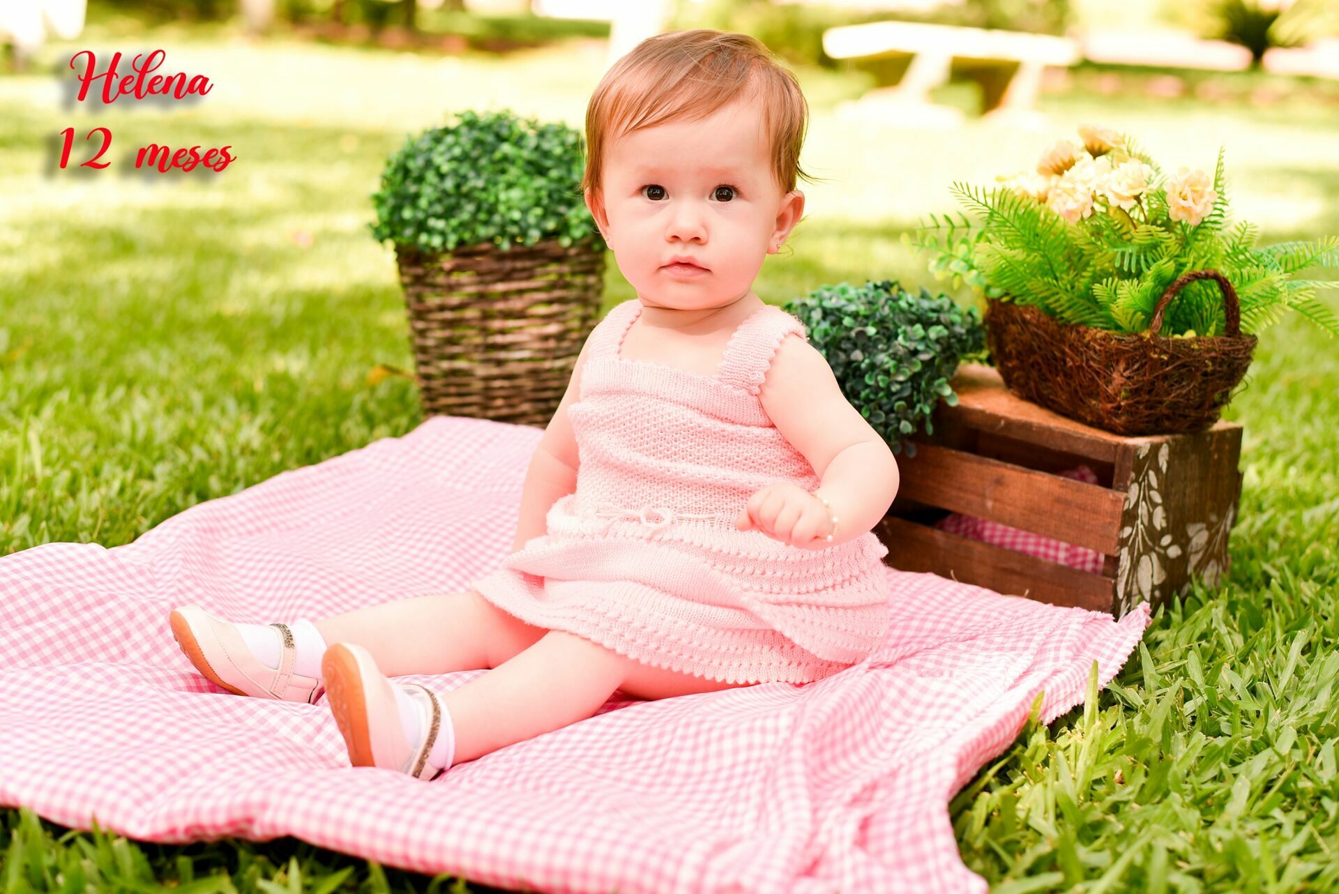 Foto Smash the Cake: Helena - Imagem 0